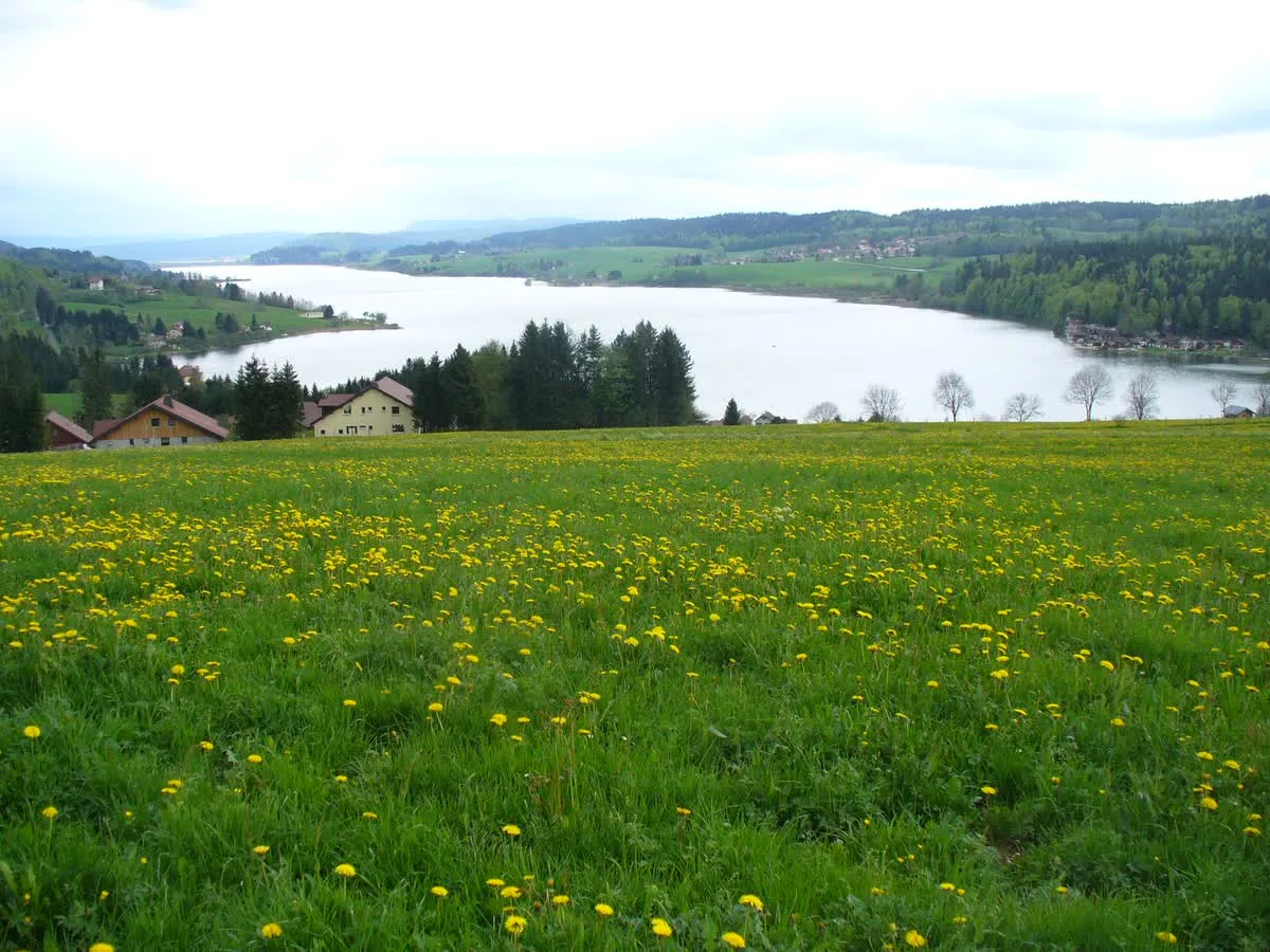 Le lac de Saint-Point dans le Doubs, où des travaux sont menés pour relever le niveau du lac